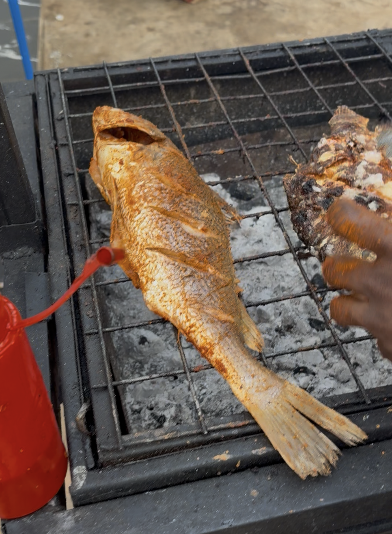 Grilled Croacker fish+Fries