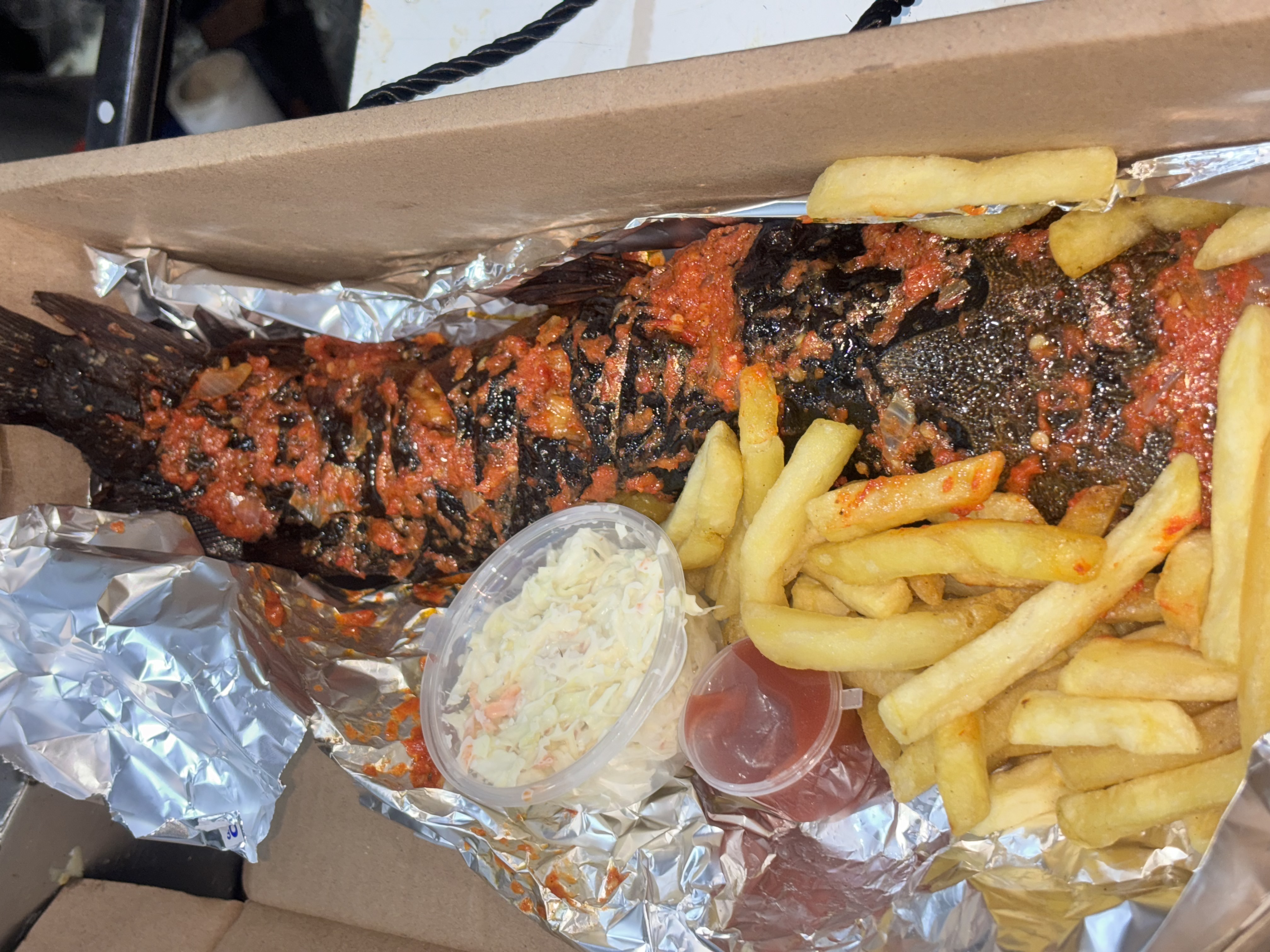 Grilled Catfish+Fries